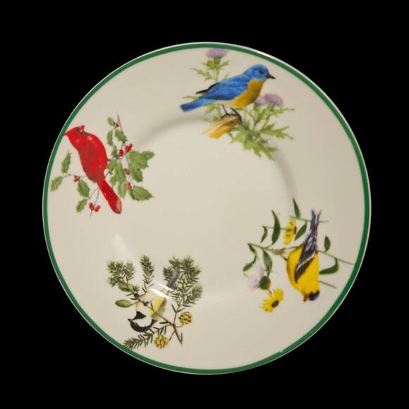 National Wildlife Federation Bird Plates Set of 4 Songbirds 6.5" Dessert Plates - Picture 1 of 5